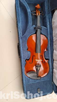 Violin